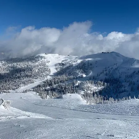 Alpine Hut Hannah Comfortable Vacation