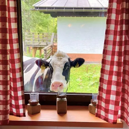 Alpine Hut Hannah Comfortable Vacation Sonnenalpe Nassfeld