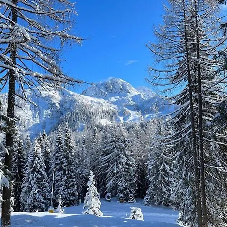 Appartement Alpine Hut Hannah Comfortable Vacation *