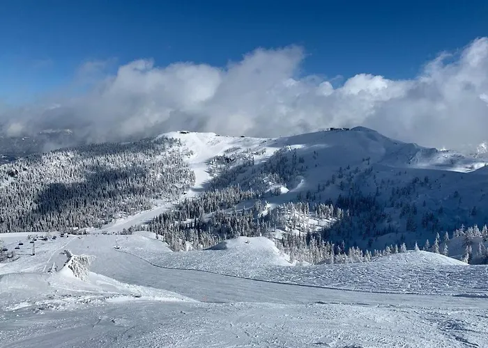 Alpine Hut Hannah Comfortable Vacation
