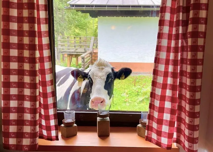 Alpine Hut Hannah Comfortable Vacation Sonnenalpe Nassfeld